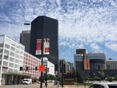 Light Pole Banner